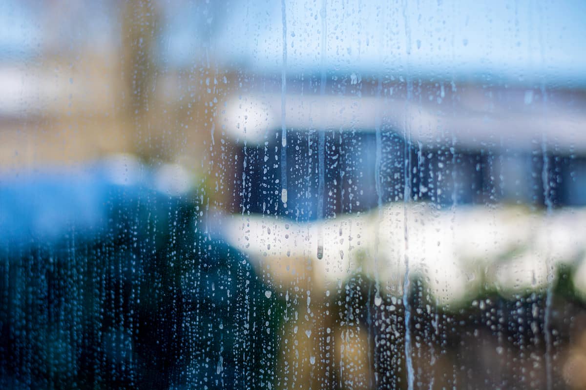 Close-up of a rain-streaked window with water droplets, offering a blurred view of the outdoors.