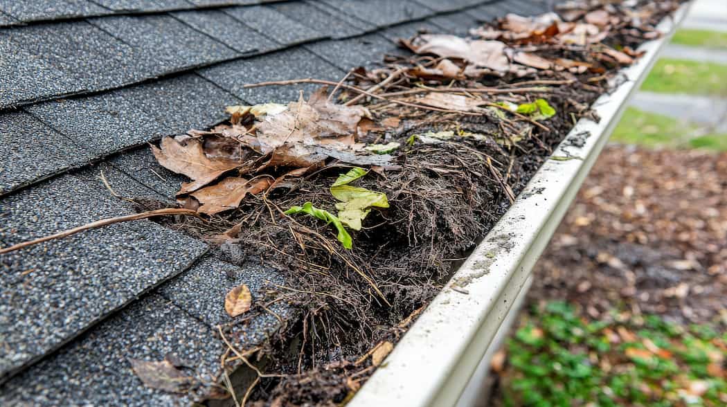 Clogged house gutter filled with leaves and debris, showing the need for regular gutter cleaning in a rental property